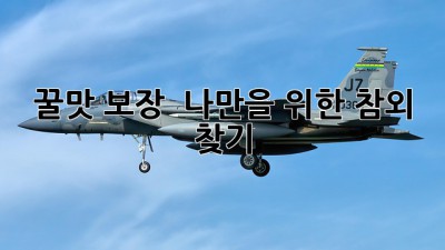 꿀맛 보장! 🍯 나만을 위한 참외 찾기 🔍